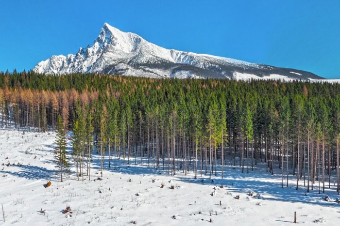 About Slovakia About Slovakia