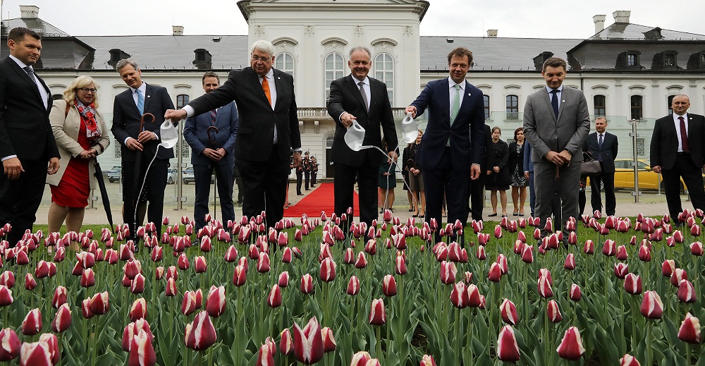 Andrej Kiska pokrstil holandské tulipány s názvom Slovensko