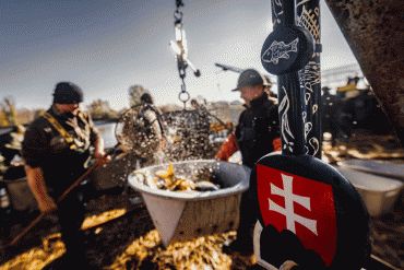 Prezident SR: Podporme slovenské rybné hospodárstvo